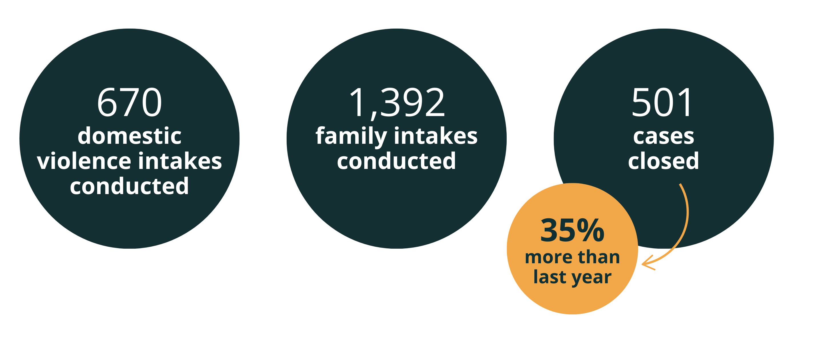 670 domestic violence intakes. 1,392 family intakes. 501 cases closed with representation (35% more than last year)