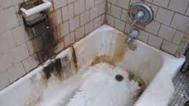 Legal Aid’s Beth Harrison Featured On News 4 Story About The Need For Tougher Enforcement Of Mold Laws