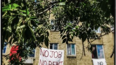 No Job No Rent - Darrow Montgomery 